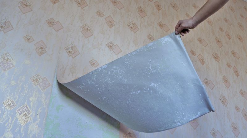 Steam Wallpaper Removal