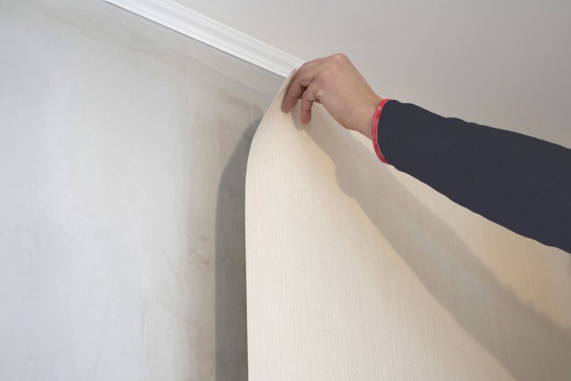 Wallpaper Repair in Denver County, CO